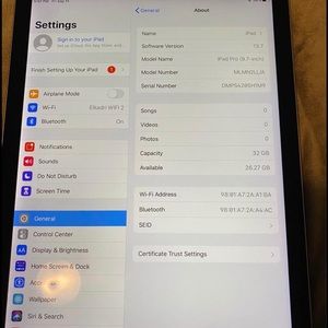 iPad Pro (9.7-inch) 32GB